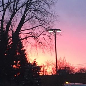 Meet your Posher, Lily